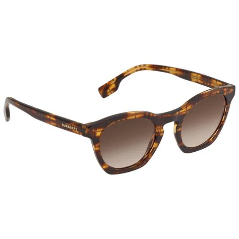 burberry gradient sunglasses|burberry sunglasses new collection.